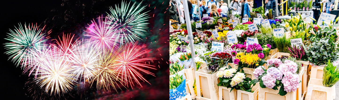 Greenpark Guide to Fireworks and Floral Events in the GTA